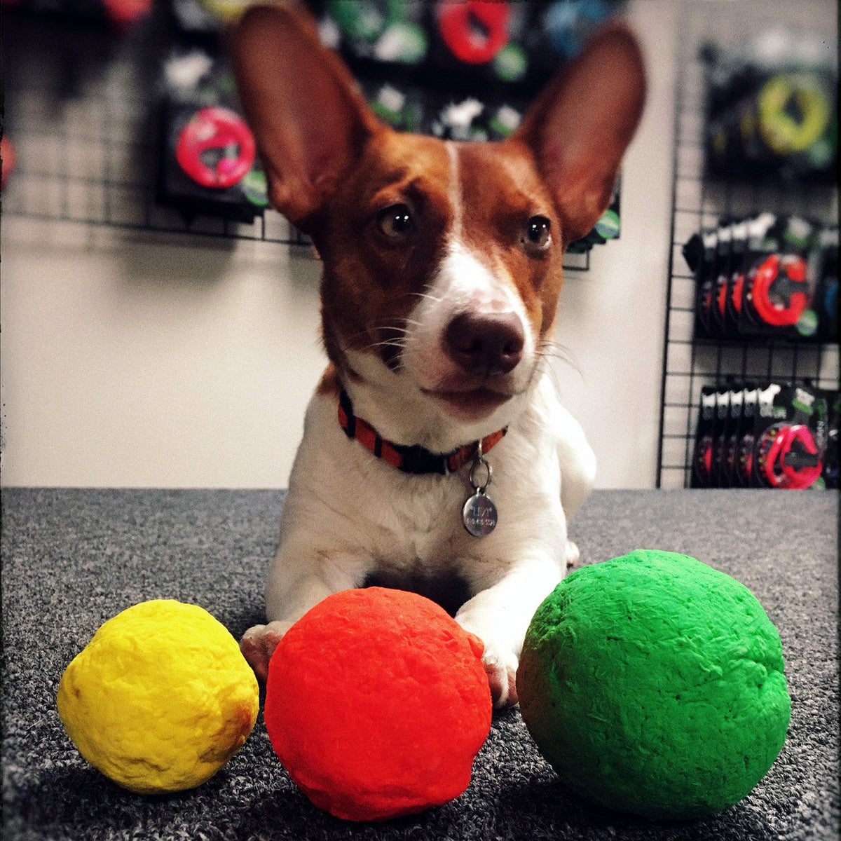 WUNDERball - Best Fetch Toy